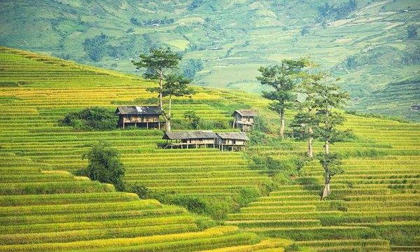 Quels sont les gestes écoresponsables à adopter dans la petite montagne ?