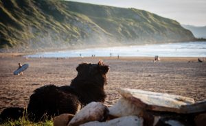 Profitez d'un camping à Ainhoa, au cœur du Pays basque, pour un séjour authentique